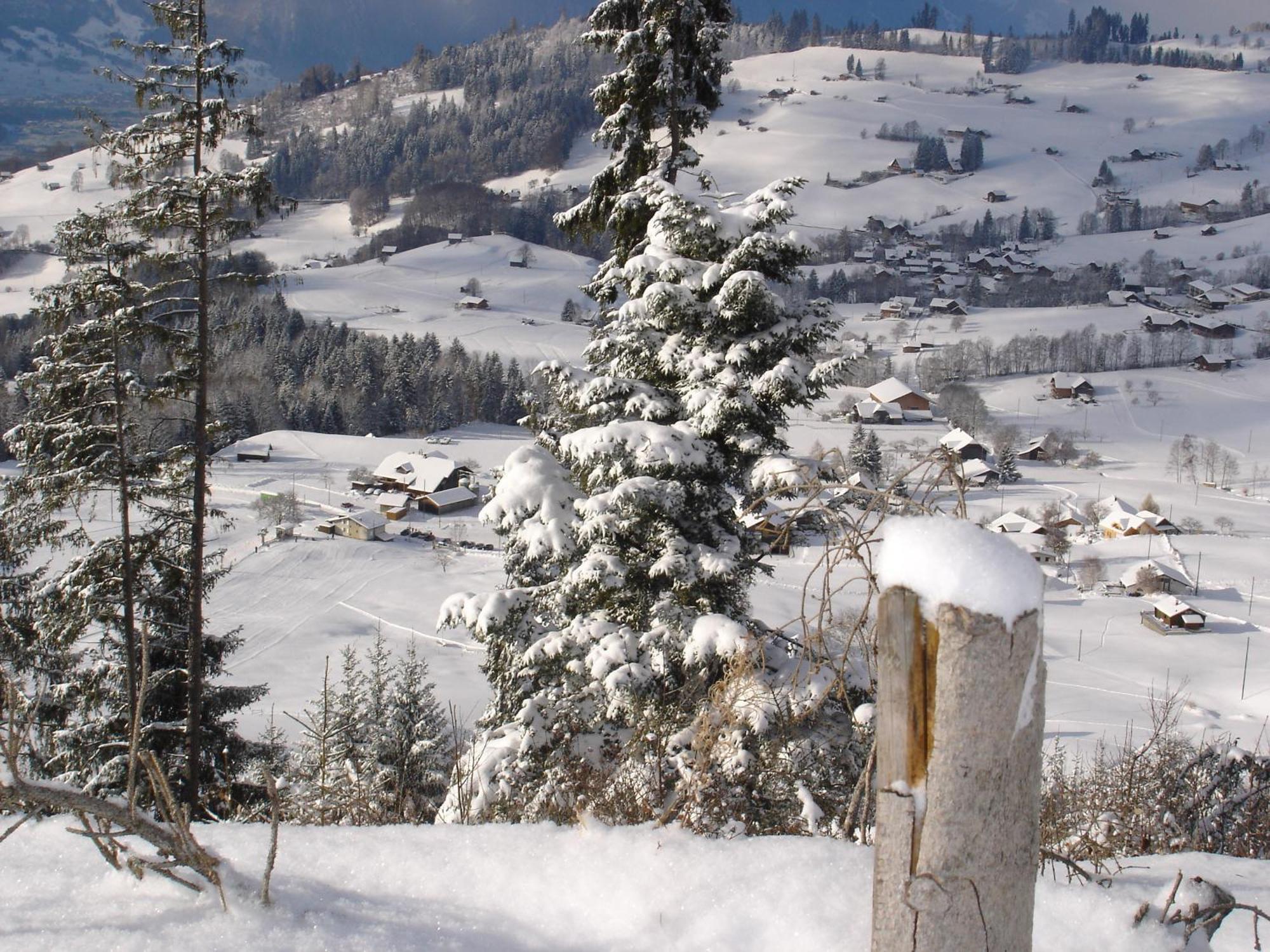 Chalet Sunneschyn Schwanden  Exterior foto